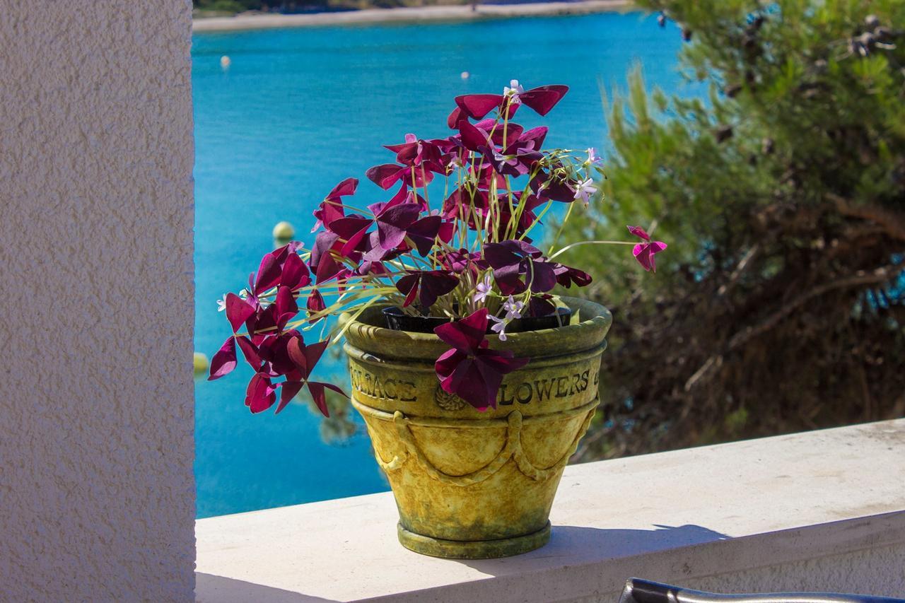 Sea Breeze - Front Sea Apartment Zaboric Εξωτερικό φωτογραφία